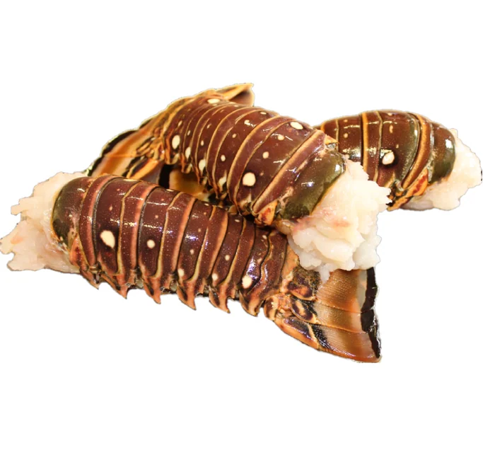 Queue De Langouste 4 oz
